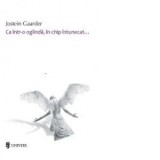 Ca intr-o oglinda, in chip intunecat - Jostein Gaarder