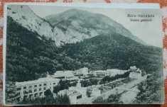 Carte postala, Baile Herculane, vedere generala, 1917