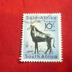 Timbru 10 sh. Antilopa- Africa de Sud- dominion Britanic 1954 ,stampilat