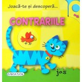 Girasol - Joaca-te si descopera? Contrariile
