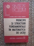 PRINCIPII ȘI STRUCTURI FUNDAMENTALE &Icirc;N MATEMATICA DE LICEU - ALEXANDRU LEONTE
