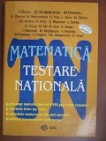 Matematica testare nationala clasele 5-8