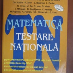 Matematica testare nationala clasele 5-8