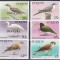 St. Kitts 1981 - Păsări, Supratipar &quot;OFFICIAL&quot;, MNH