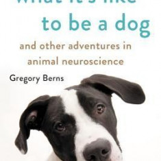 What It's Like to Be a Dog: And Other Adventures in Animal Neuroscience