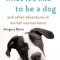 What It&#039;s Like to Be a Dog: And Other Adventures in Animal Neuroscience