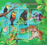 Cumpara ieftin Timbre Grenada Carriacou 2001, Fauna Tropicala, Colita MNH, Colectie diverse, Timbre Straine Dupa 1950