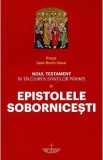 Noul Testament in talcuirea Sfintilor Parinti Vol.9: Epistolele Sobornicesti - Pr. Ioan Sorin Usca