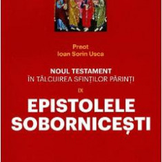 Noul Testament in talcuirea Sfintilor Parinti Vol.9: Epistolele Sobornicesti - Pr. Ioan Sorin Usca