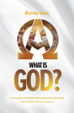 What Is God?: Answering the World&#039;s Most Important Question (with the Help of Thomas Aquinas)