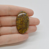 Cabochon jasp fruity 39x22x5mm c58