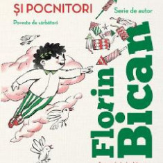 Petarde si pocnitori. Poveste de sarbatori - Florin Bican