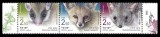 ISRAEL 2019 FAUNA ANIMALE SALBATICE SPECII PROTEJATE