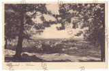 2825 - VULCAN, Brasov, Panorama, Romania - old postcard - used, Circulata, Printata