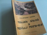 PR.PROF. ATHANASE NEGOITA, TEOLOGIA BIBLICA A VECHIULUI TESTAMENT. FORMAT PUTIN MAI MARE 23 X 16 CM.