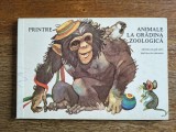 Printre animale la Gradina Zoologica - Carte total cartonata, 1986 / R6P3F