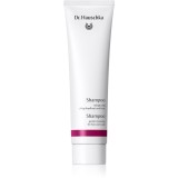 Dr. Hauschka Hair Care Shampoo sampon delicat 150 ml