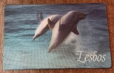 D6 - Magnet frigider - Tematica turism - Grecia 64
