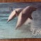 D6 - Magnet frigider - Tematica turism - Grecia 64