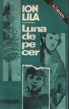 Luna de pe cer foto