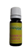 Cumpara ieftin Ulei odorizant floare de lotus 10ml, Onedia