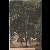 Carte poștală veche Oradea &ndash; Parcul hotelului Vaiszlovitch &ndash; 1914