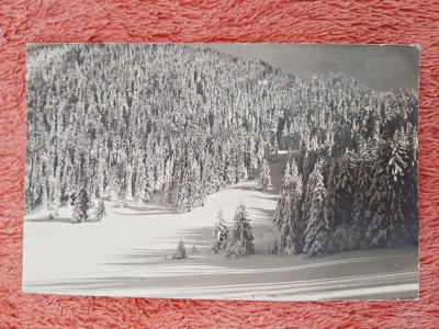 Carte postala, muntii Bucegi, perioada interbelica foto