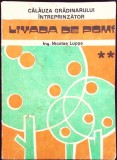 CALAUZA GRADINARULUI INTREPRINZATOR VOL.2 LIVADA DE POMI-NICOLAE LUPSA-263141