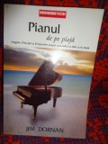 PIANUL DE PE PLAJA / IMAGINI, PRINCIPII SI PERSPECTIVE ASUPRA SUCCESULUI CA LIDER SI IN VIATA - JIM DORNAN // 190 PAGINI