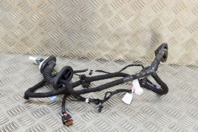 Cablaj ușă dreapta spate TESLA MODEL 3 2021 OEM: 2067966-00-B 15507322 foto