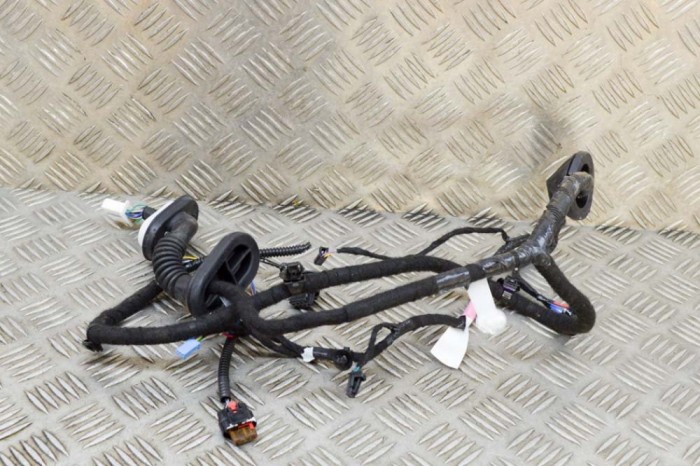 Cablaj ușă dreapta spate TESLA MODEL 3 2021 OEM: 2067966-00-B 15507322