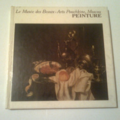 LE MUSEE DES BEAUX - ARTS POUCHKINE PEINTURE ~ ALBUM PICTURA