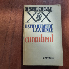 Curcubeul de D.H.Lawrence