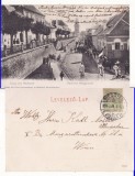 Medias , Mediasch (Sibiu)-bicicleta epoca , animata, clasica