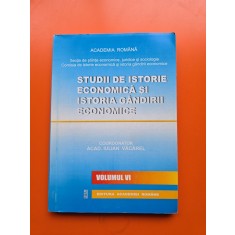 Studii de istorie economică și istoria g&acirc;ndirii economice - Coordonator: Acad. Iulian Văcărel - vol. VI