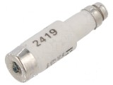 Siguranţă gG 6A 400VAC 250VDC industrială D01