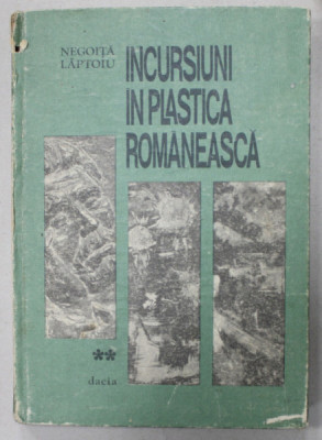 INCURSIUNI IN PLASTICA ROMANEASCA de NEGOITA LAPTOIU , VOLUMUL II , 1987 , COPERTA CU URME DE UZURA , DEDICATIE * foto