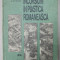 INCURSIUNI IN PLASTICA ROMANEASCA de NEGOITA LAPTOIU , VOLUMUL II , 1987 , COPERTA CU URME DE UZURA , DEDICATIE *