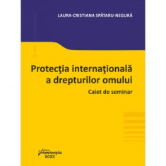 Protecția internațională a drepturilor omului - Paperback brosat - Laura Cristiana Spătaru-Negură - Hamangiu