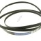 Curea Poli-V uscator de haine Electrolux EW7H438B 140056254018 ELECTROLUX/AEG