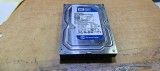 HDD PC WD 250GB Sentinel 100% Sata #B339