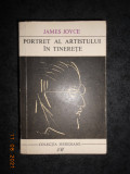 JAMES JOYCE - PORTRET AL ARTISTULUI IN TINERETE
