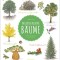 Das gro&szlig;e Buch der B&auml;ume