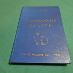 PATOLOGIE DU LAPIN * PATOLOGIA IEPURILOR * 62 FIGURI / G. LESBOUYRIES / 1963 *