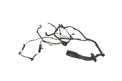 Cablaj ușă dreapta spate BMW 4 Coupe F32, F82 2015 OEM: 9325917 25760398 foto