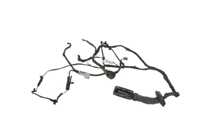 Cablaj ușă dreapta spate BMW 4 Coupe F32, F82 2015 OEM: 9325917 25760398
