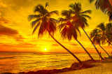 Cumpara ieftin Fototapet autocolant Palmieri in apus de soare, 300 x 250 cm