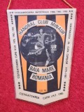 Fanion handbal - Handbal Club &quot;MINAUR&quot; BAIA-MARE