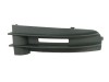 Grila ventilatie, bara protectie VW CADDY III Combi (2KB, 2KJ, 2CB, 2CJ) (2004 - 2016) BLIC 6502-07-9545914P