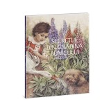 Secretul din gradina bunicului | Sonja Danowski